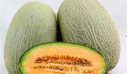 儿子女儿吃哈密瓜视频,儿子女儿共享甜蜜时光