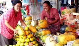 缅甸北部吃瓜视频,吃瓜群众视角下的社会百态