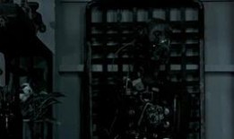 最近关于纹身的吃瓜视频,吃瓜群众热议纹身新动态