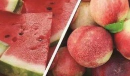 网络吃瓜最新视频,最新吃瓜视频揭秘惊人内幕！