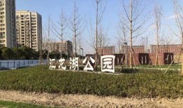 北龙湖公园吃瓜视频播放,网友热议公园生活瞬间