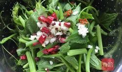 土耳瓜能做啥菜吃呢视频,创意菜谱大揭秘