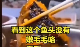 探店女博主吃瓜视频大全,揭秘美食背后的故事