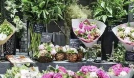 广州花店老板娘吃瓜视频,吃瓜视频展现市井生活百态