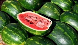 吃瓜被炸的视频素材下载,惊险瞬间！吃瓜被炸视频引发网友热议