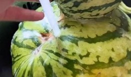 搞怪吃瓜音乐视频大全,音乐视频里的欢乐狂欢大盘点