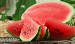 韩城4分58秒吃瓜视频,网友热议