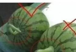 好瓜怎么吃最好吃视频