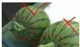 好瓜怎么吃最好吃视频