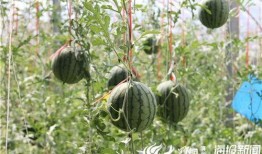 韩城4分58秒吃瓜视频,网友热议