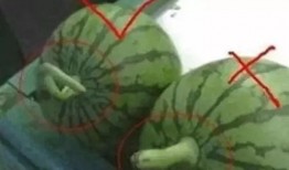 合格的吃瓜视频,如何轻松制作合格的吃瓜视频