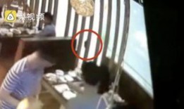 吃瓜视频假动作,假动作背后的真实故事