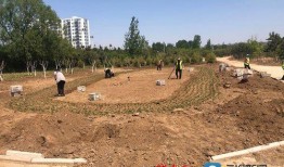 莒县沭河公园吃瓜视频,吃瓜群众欢乐多