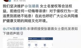 吃瓜爆料事件视频,视频事件背后的真相与争议