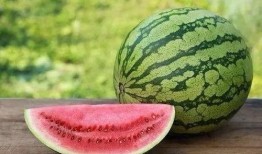 在那可以看吃瓜视频,吃瓜视频的聚集地大盘点