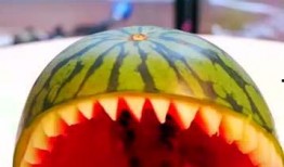 5分钟吃瓜视频,热门吃瓜视频盘点，揭秘娱乐圈最新动态