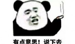 吃瓜熊猫人视频游戏,探索奇幻游戏世界的欢乐冒险之旅