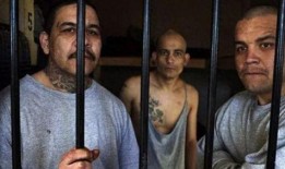 烟枪哥吃瓜视频大全集,揭秘娱乐圈幕后风云