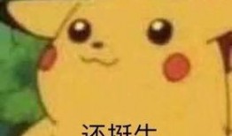 翠花皮卡丘视频吃瓜,吃瓜群众围观美食盛宴