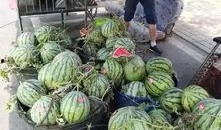 湘乡吃瓜事件视频最新,一场引发热议的街头冲突瞬间回顾