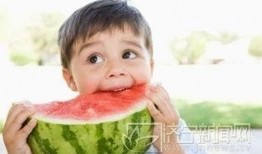 瓜娃子吃西瓜视频直播,趣味横生引网友热议