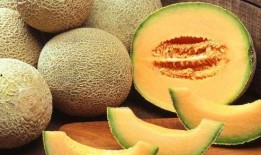 我喜欢吃哈密瓜歌曲视频,探寻“我喜欢吃哈密瓜”歌曲背后的故事