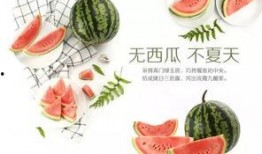 活动吃瓜模板怎么做视频,跟随活动吃瓜模板，轻松上手短视频创作