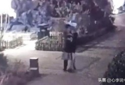 临沂吃瓜视频完整,揭秘当地特色美食与民间风情