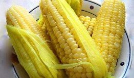 玉米地里吃瓜的视频,一场别开生面的吃瓜盛宴