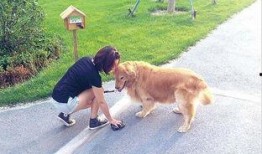 遛狗吃瓜现场视频,欢乐现场一幕