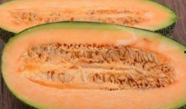 美女一个人吃哈密瓜视频