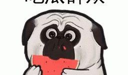 带你吃瓜沙雕拍照视频,带你吃瓜沙雕拍照视频大揭秘