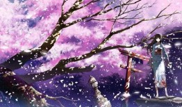 吃瓜群众樱花动漫视频,吃瓜群众眼中的甜蜜爱情故事