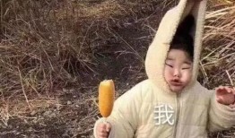 带你吃瓜沙雕拍照视频,带你吃瓜沙雕拍照视频大揭秘