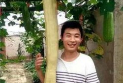 三个小伙吃瓜视频全集,揭秘三位少年吃瓜视频背后的故事