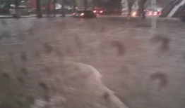 东莞暴雨吃瓜视频最新,吃瓜群众捕捉惊险瞬间