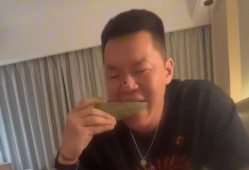 吃瓜视频全集完整版,揭秘娱乐圈幕后真相，全集完整版深度解析