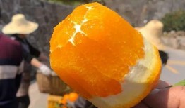 板伦吃瓜视频,揭秘娱乐圈幕后故事