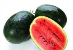 黑吃瓜视频大全