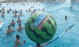 冲浪吃瓜视频,揭秘网红视频背后的秘密