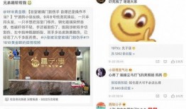 八卦吃瓜网红最新视频播放,揭秘娱乐圈幕后真相，播放量飙升！